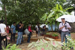 HobbyPhotos-97